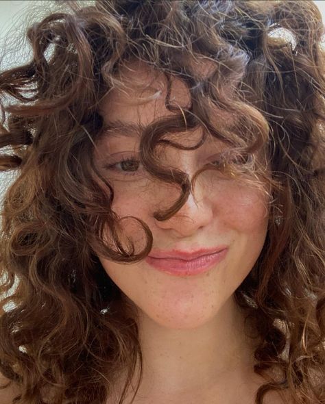 Light Brown Curls, 2c Curly Hair, 3a Hair, Curly Brown Hair, Natural Curly Hair Cuts, Brown Curly Hair, Curly Girl Hairstyles, Permed Hairstyles, Hair Reference