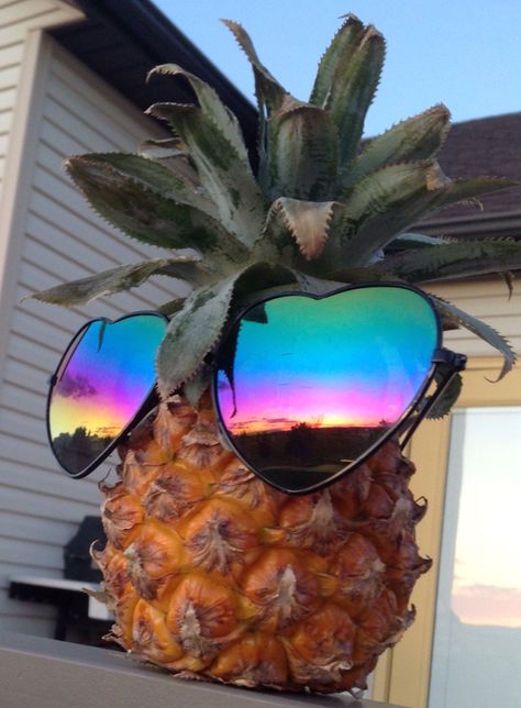 Baby pineapple with sunglasses reflecting sunset Pineapple With Sunglasses, Baby Pineapple, Mermaid Kisses, Neon Words, Word Signs, Best Fashion, Fashion Advice, Starfish, All Time