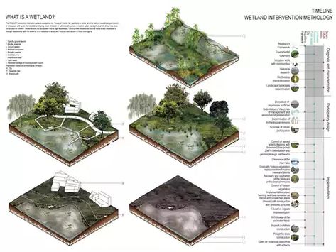 Landscape Architecture Student, What Is Landscape Architecture, Sponge City, Urban Design Graphics, Architecture Program, Wetland Park, Landscape Architecture Drawing, Architecture Landscape, Landscape Architecture Design