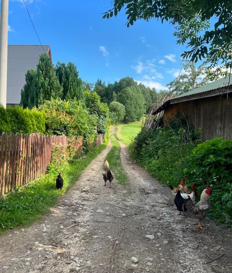 Lato w górach 🥾⛰️🔆 summer holidays in poland, central europe, eastern european farm holidays, walks, southern poland, Polish Countryside Aesthetic, Eastern European Summer, Poland Countryside, Poland Aesthetics, Polish Countryside, Poland Summer, Poland Aesthetic, Poland Culture, Poland Country