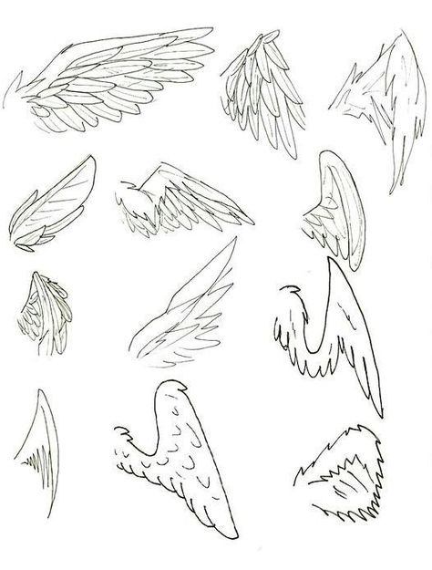 Angel Wing Doodle, Angel Wing Drawing Reference, How To Draw Angel Wings Step By Step Easy, Closed Wings Drawing, Folded Wings Drawing, How To Draw Wings On People, Wing Tutorial Drawing, Winged People Drawing Reference, Wing Drawing Tutorial