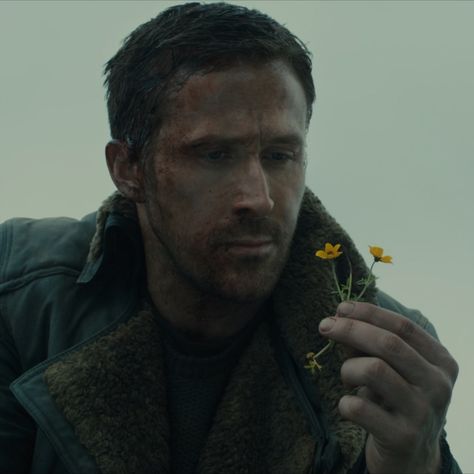 Ryan Gosling as Officer K holding a flower in Blade Runner 2049 Man holding a flower. #bladerunner #movie #actor #flower Ryan Gosling Blade Runner, Officer K, Runner Quotes, Cheek Fillers, To Be Human, Denis Villeneuve, Райан Гослинг, Be Human, Blade Runner 2049