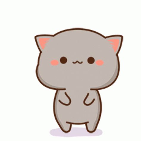 Yes Order Sticker - Yes Order Yes Sir - Discover & Share GIFs Mitao Cat, Brown Kitty, Cutest Cats Ever, Chat Kawaii, Chibi Cat, Cute Bear Drawings, Art Mignon, Cute Kawaii Animals, Gray Cat