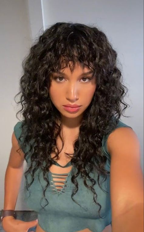 Curly Hair Haircuts, Shaggy Curly Hair, 2024 Haircuts, Black Hair Types, Curly Shag Haircut, Long Curly Haircuts, Natural Curly Hair Cuts, Layered Curly Hair, Sofia Wylie