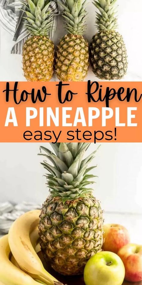 Ripe Pineapple How To Tell A, Pineapple Plant Care, Tropical Fruit Salad Recipe, Kitchen Knowledge, Eating Pineapple, Pineapple Upside Down Cupcakes, Pineapple Plant, Tropical Fruit Salad, Fruit Plus