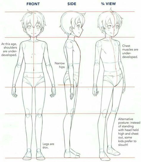 Boy Body, Drawing Anime Bodies, Body Tutorial, Drawing Body Poses, Anatomy Tutorial, Body Drawing Tutorial, Character Model Sheet, Manga Drawing Tutorials, Body Reference Drawing