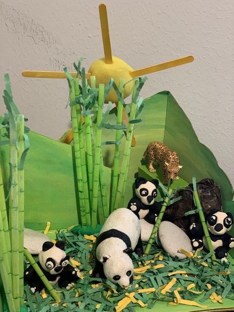 Panda diorama Panda Habitat Project, Panda Habitat, Science Projects, Olaf The Snowman, Novelty Christmas, Christmas Ornaments, Disney Characters, Disney, Holiday Decor