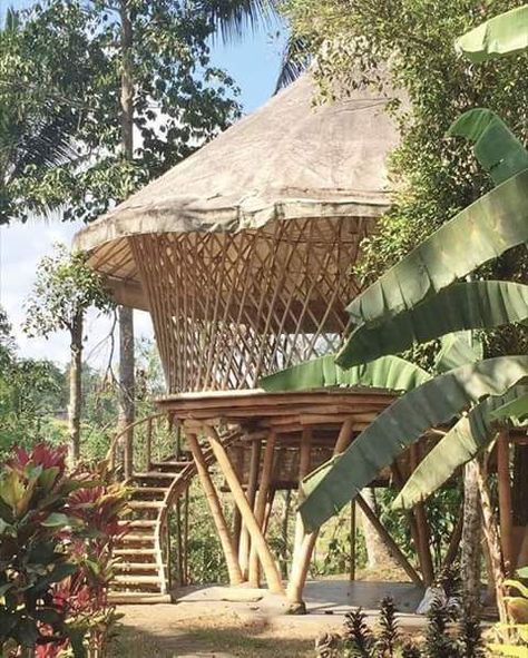 Bamboo treehouse. Contour Building, Garden Huts, Arched Cabin, Funky House, Bamboo Building, Treehouse Cabins, Bamboo House Design, Jungle House, Resort Architecture