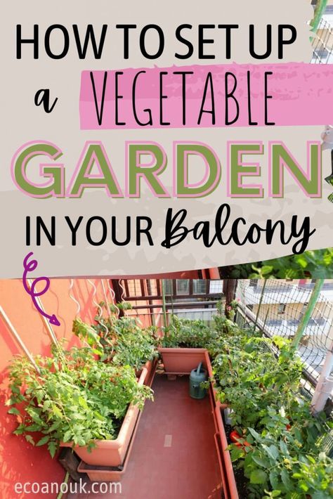 tomato plants in a balcony garden Apartment Vegetable Garden, Balcony Vegetable Garden, Balcony Garden Diy, Apartment Patio Gardens, Balcony Herb Gardens, Apartment Balcony Garden, Vertical Vegetable Garden, Small Balcony Garden, Balcony Plants