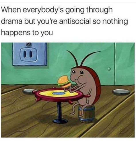 Middle School Memes, Tea Morning, Memes In Real Life, Introvert Humor, Spongebob Memes, Memes Br, School Memes, Memes Humor, Relationship Memes