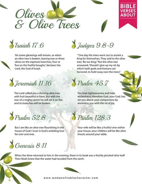 An in-depth look at olives in the Bible as well as olive trees, olive oil and olive branches. Scripture references & the symbolism of Olives in the Bible. With two free PDFs  #olivesintheBible #oliveoilintheBible #olivetreesintheBible #olivebranchesintheBible #foodintheBible #usesforolivesintheBible #womanofnoblecharacter #mountofolivesintheBible Olive Oil Spiritual Meaning, Olive Branch Scripture Tattoo, Olive Oil Spiritual Uses, Olive Branch Scripture, Olive Tree Bible Verse, Olive Branch Quotes, Olive Branch Bible Verse, Bible Symbolism, Olive Tree Symbolism