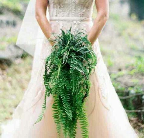 No flowers, just ferns. Bouquet. Whimsical Wedding Bouquet, Fern Bouquet, Wild Wedding Bouquet, Unique Wedding Bouquet, Fern Wedding, Green Bouquet, Naked Cakes, Cascade Bouquet, Hawaiian Wedding