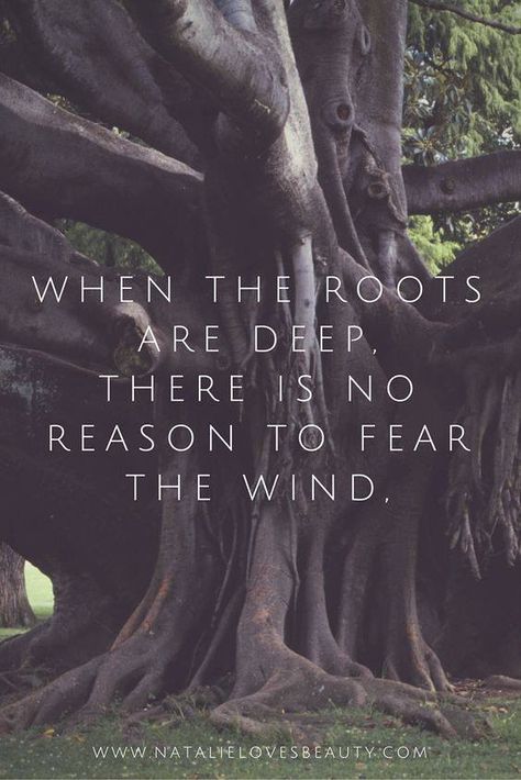 When the roots are deep, there is no reason to fear the wind. Plan Day, 10 Year Plan, Day Challenge, Year Plan, Morning Yoga, 30 Day Challenge, Life Coaching, Yoga Flow, Quotable Quotes