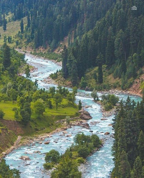 Pahalgaum Jammu & Kashmir #IncredibleIndia #IndiaTourism Pahalgam Kashmir, Beauty Of Kashmir, Scenery Paintings, Pretty Landscapes, Jammu And Kashmir, Aesthetic Photography Nature, Beautiful View, Beautiful Place, Incredible India