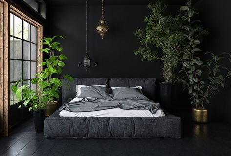 Plants have superpowers, including lulling you off to a blissful state of sleep. But not all plants are created equal. Learn which are best for the bedroom. Black Room Design, Bedroom Plants Decor, Soothing Bedroom, Black Bedroom Design, Black Rooms, Black Interior Design, Dark Bedroom, Black Room, Black Bedroom