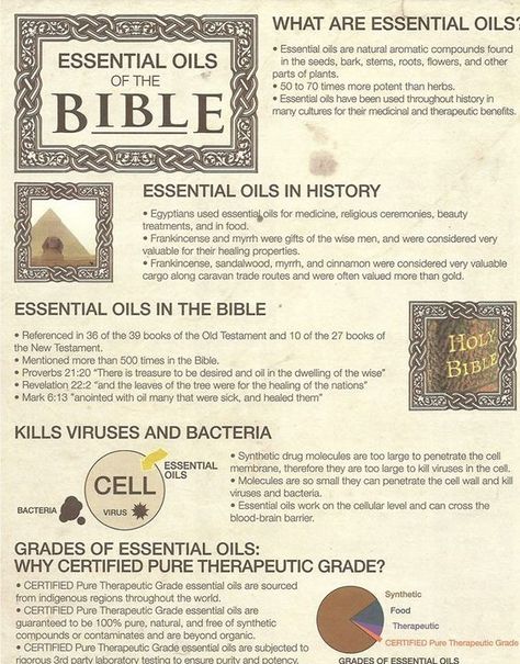 Young Living Essential Oils: Essential Oils of the Bible. www.theoildropper.com: Oils Of The Bible, What Are Essential Oils, Essential Oil Remedy, Yl Oils, Oil Remedies, Essential Oils Herbs, Essential Oils Health, Yl Essential Oils, Living Essentials Oils