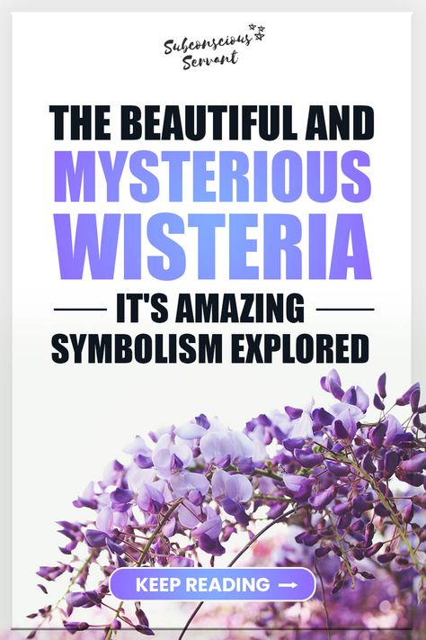 Wisteria Quotes, Wisteria Meaning, Wisteria Plant, Wild Foraging, Wisteria Tree, Purple Wisteria, White Wisteria, Growing Gardens, Flower Essences