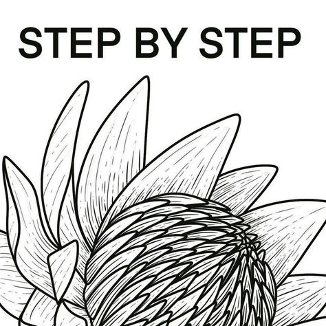 Kaily Wilson on Instagram Protea Flower Template, How To Draw A Protea Step By Step, How To Draw A Protea, Diy Protea Flowers, Protea Stencil, Protea Flower Drawing, Protea Line Drawing, Proteas Flower, Protea Drawing