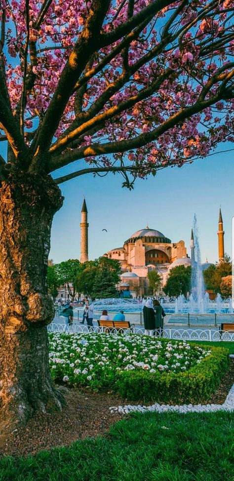 Sophia Astethic, Turkey Astethic, Sophia Aesthetic, Hagia Sofia, Scenic Places, Bff Quotes Funny, Turkish Tea, Beautiful Mosques, Love Quotes Wallpaper