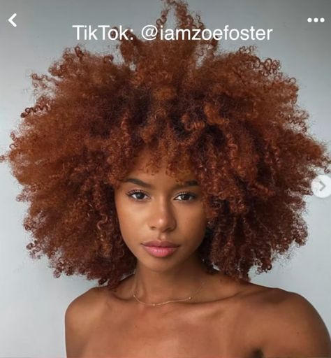 Dark Ginger Hair, Cheveux Oranges, Cabello Afro Natural, Curly Fro, Ginger Hair Color, Dyed Hair Inspiration, Colored Curly Hair, Dyed Natural Hair, Beautiful Curly Hair