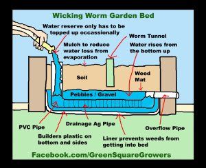 Wicking Garden Bed - how it works diagram Wicking Garden Bed, Diy Edible, Contemporary Garden Design, Vegetable Garden Raised Beds, Planter Beds, Raised Garden Beds Diy, Edible Landscaping, Veg Garden, Green Square