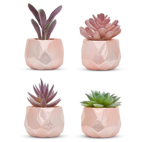 Best Desk Plants, Rose Gold Office Decor, Gold Desk Accessories, Rose Gold Office, Gold Office Decor, Rose Gold Bedroom, Office Decor For Women, Gold Bedroom Decor, Desk Plants