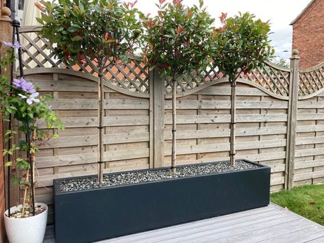 How To Choose The Right Pots & Planters For Your Garden | Flora Select Contemporary Planters Outdoor, Troughs As Planters, Oblong Planter Ideas, Trough Planter Ideas Plants, Garden Trough Planting Ideas, Trough Planter Ideas, Long Planter Ideas, Garden Trough Planters, Plant Troughs