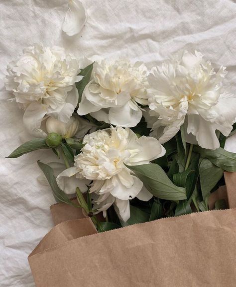 Bouquet of white flowers #flowers #prettyflorals #flowerbouquet White Flowers, Bed, Twitter, Flowers, Green, White