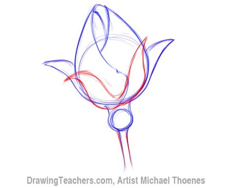 How to Draw a Rosebud 4 Rose Project, Draw A Rose, Flower Drawing Tutorials, Watercolor Paintings For Beginners, Types Of Roses, Rose Drawing, Roses Drawing, 수채화 그림, Rose Bud