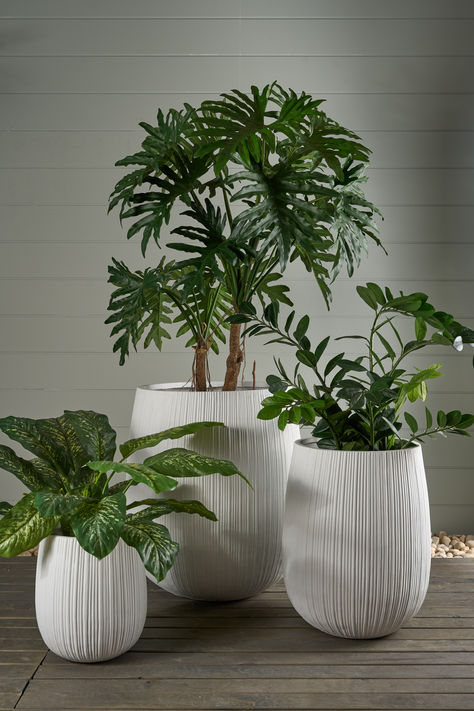 Elevate your indoor plants with the Baxter Planter Set in White from Florabelle. These sleek and contemporary planters add a touch of elegance and modernity to any space. 🌿✨ #HomeDecor #PlantLovers #ModernLiving In House Plants Decor, Planters Ideas Indoor, Indoor Planter Box, Plant Stand Decor, Front Door Plants, Plant Styling, Greenery Design, Contemporary Planters, Indoor Flower Pots