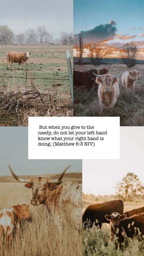 There are cows with a Bible verse in the middle Western Christian Wallpaper, Western Wallpapers, Lock Screen Ideas, Phone Wallpaper Ideas, Cow Wallpaper, Cow Print Wallpaper, Christian Backgrounds, Western Wallpaper, Phone Lockscreen