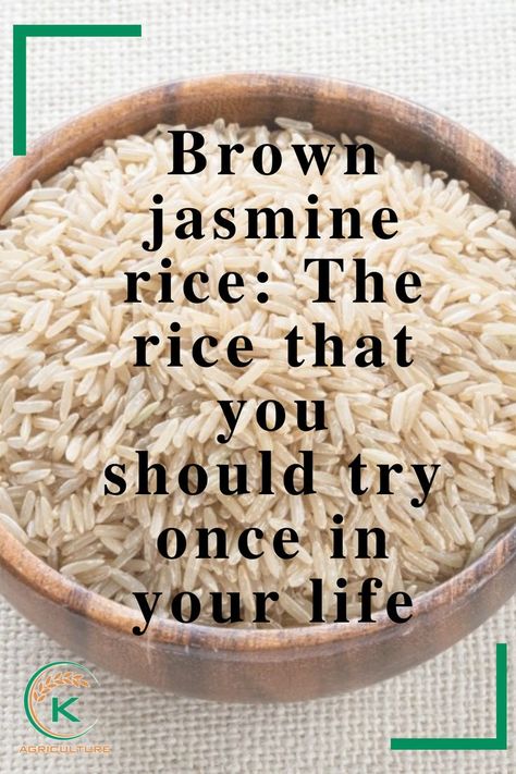 With the growing concern about health conditions and maintaining weight, many rice consumers are now eating whole grain brown rice. One of the most popular types of whole grain rice nowadays is brown jasmine rice.🌟 Click the link below for more useful facts about Vietnamese rice market. 📩 Email: info@k-agriculture.com 📞Whatsapp: Mr Sun +84844444891 https://wa.me/84844444891 Useful Facts, Jasmine Rice Recipes, Brown Jasmine Rice, Vietnamese Rice, Whole Grain Rice, Brown Recipe, Grits Recipe, Rice Varieties, Rice Grain