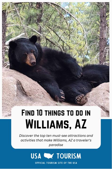 Williams, AZ is a hidden gem nestled in the heart of Northern Arizona's high desert, offering visitors a wide range of activities and attractions to explore. In this article, we've rounded up the top ten things to do in Williams, AZ to help you plan your next adventure in this beautiful town. From historic Route 66 landmarks to scenic outdoor hikes, we've got you covered with the best sights and experiences that Williams has to offer. Williams Arizona Things To Do In, Usa Tourism, Williams Az, Williams Arizona, Summer Thunderstorm, Grand Canyon Railway, North American Wildlife, Snow Tubing, Historic Route 66