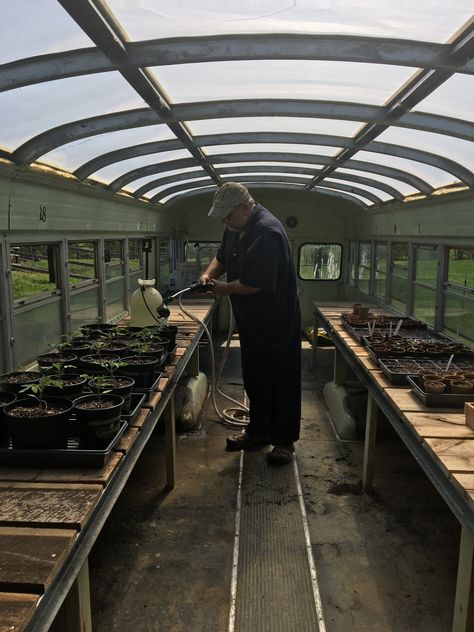 Greenhouse from a school bus. My husband turned trash to treasure by converting this bus to a wonderful greenhouse. School Bus Greenhouse, Bus Greenhouse, Greenhouse On Wheels, Mobile Greenhouse, Bus Cafe, Bio Dome, Green House Plants, Worm Tea, Mobile Garden