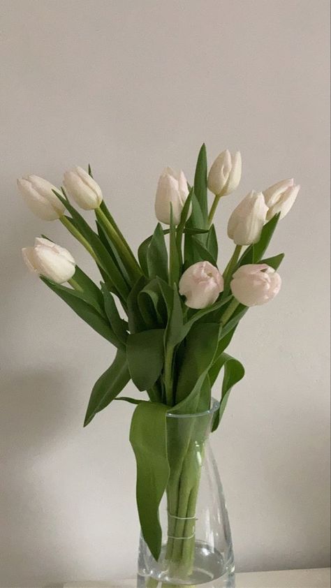 Tulip Vase Aesthetic, White Tulips In Vase, Bouquet Flower Aesthetic, Apartment Decor Pink, House Decor Bedroom, Flower Images Wallpapers, Fall Apartment Decor, Bloxburg Building, Fav Aesthetic