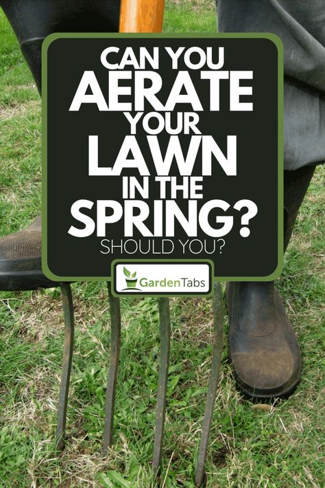 Can You Aerate Your Lawn In The Spring? Should You? Reseeding Lawn, Lawn Care Diy, Overseeding Lawn, Centipede Grass, Spring Lawn Care, Seeding Lawn, Lawn Work, Aerate Lawn, Diy Lawn