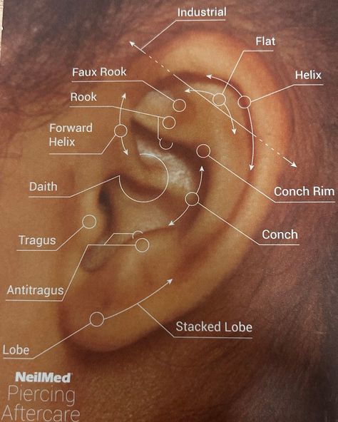 ✨ So many stunning ear piercing options to choose from! 🎉 But remember, it all depends on your unique ear anatomy. Which piercing are you dreaming of? Comment below and let us know! 👇💖 #MasterPierce #EarPiercing #JewelryGoals #piercingshop #pierced #safepiercings #wellington #piercedgirl #piercerlove #bestpiercingshop Ear Piercings Names, Ear Piercing Names, Ear Anatomy, Ear Peircings, Piercing Chart, Forward Helix, Piercing Aftercare, Piercing Shop, Palm Beach Fl