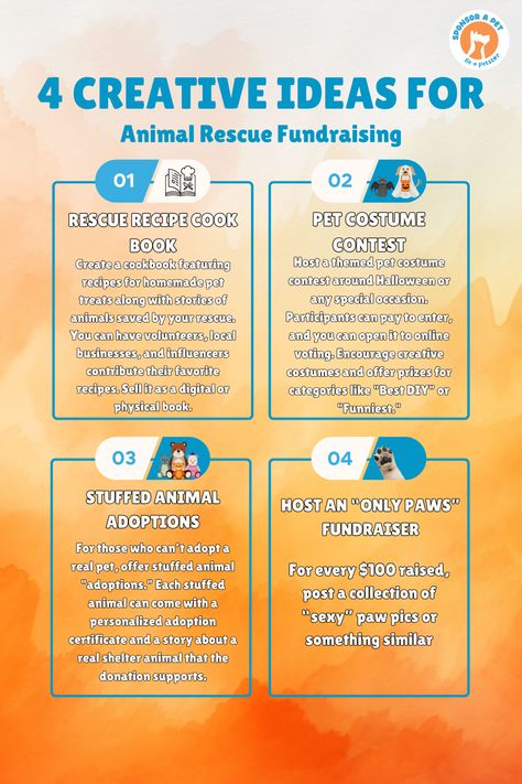 Creative ideas help rescues stand out, raise more funds, and build strong connections with supporters—all to save more lives!  #CreativeFundraisingIdeas #FundraisingForPets #Fundraising Animal Rescue Fundraising, Creative Fundraising, Create A Cookbook, Pet Costumes, Animal Rescue, Fun Diys, Online Business, Homemade Recipes, Special Occasion