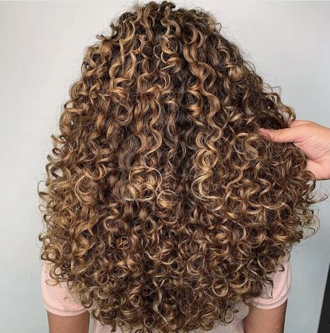 Blonde Highlights Curly Hair, Curly Haircut, Curly Hair Trends, Dyed Curly Hair, Highlights Curly Hair, Curly Hair Photos, Big Curly Hair, Colored Curly Hair, Wavy Curly Hair