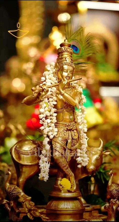 Janmashtami Photos, Happy Janmashtami Image, Janmashtami Images, Little Buddha, Lord Hanuman Wallpapers, Krishna Book, Shri Ram Photo, Little Krishna, Goddess Decor