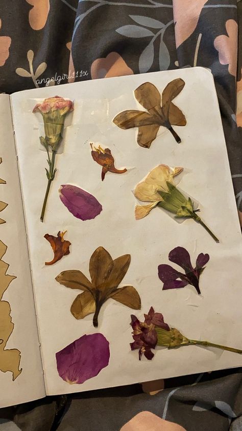 Flowers In Notebooks, Book Dried Flowers, Dried Flower Notebook, Flower Aesthetic Journal, Dry Flowers Journal, Scrapbook Dried Flowers, Diaries Decoration Ideas, Dried Flowers Scrapbook, Notebook Decorations Ideas