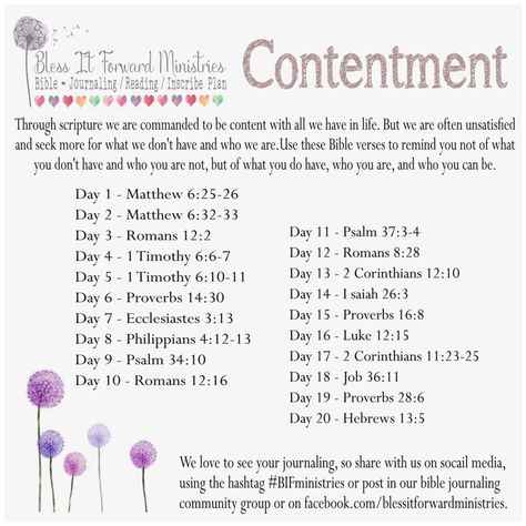 Bible Study On Contentment, Contentment Bible Study, Scripture Plans, Bible Plans, Bible Basics, Bible Studies For Beginners, Scripture Writing Plans, Study Plans, Bible Readings