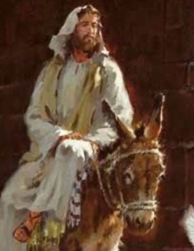 Triumphal Entry, Bible Artwork, Sacred Scripture, A Donkey, Palm Sunday, Biblical Art, Holy Week, The Donkey, Light Of The World