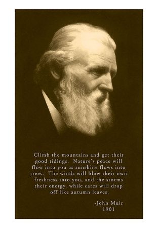 Man's Place in the Universe, A very insightful piece written by John Muir. Wikipedia him. He's an intriguing man. John Muir Quotes, Nature Quotes Adventure, Healthy Remedies, A Course In Miracles, John Muir, Adventure Quotes, Quote Art, Art Prints Quotes, Nature Quotes