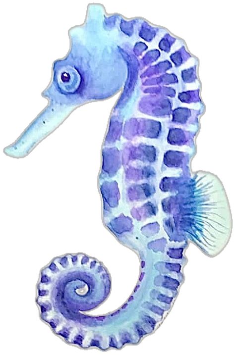 Seahorse Aesthetic, Sea Horse Drawing, Ocean Drawing, Seahorse Art, Sea Life Art, Watercolor Drawing, Ocean Creatures, A Level Art, Mini Paintings