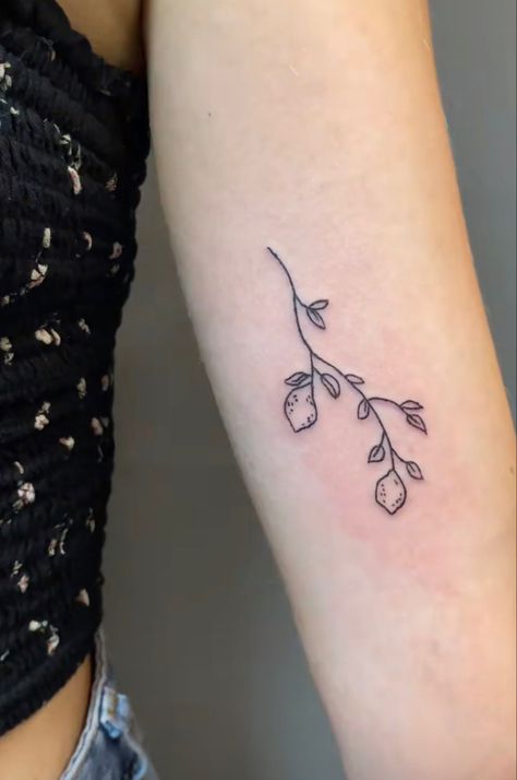 Lime Branch Tattoo, Lime Tree Tattoo, Lemon Tree Tattoo Minimalist, Fruit Branch Tattoo, Fig Branch Tattoo, Lemon Branch Tattoo, Lemon Tree Tattoo, Fig Tree Tattoo, Fig Tattoo