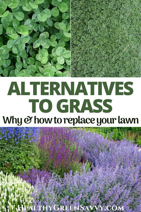 Looking for eco-friendly alternatives to a grass lawn? Grass alternatives can save money, time, and water while reducing the environmental impact of your yard. Converting some (or all!) of your lawn to these eco-friendly grass alternatives is easier than you might think. #grassalternatives #gardening | lawn alternatives | alternatives to grass | groundcovers | eco-friendly landscaping | ecological landscaping | Thyme Lawn Grass Alternative, No Upkeep Landscaping, Maintance Free Landscaping, Non Grass Front Yard, No Water Landscaping Front Yards, Grass Free Yard, Grass To Garden Transition, Native Lawn Alternative, Bio Diverse Lawn