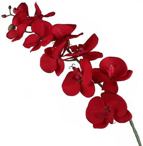 Butterfly Orchid, Red Orchids, Plant Home, Artificial Pumpkins, Flower Artificial, Artificial Orchids, Orchid Arrangements, Home Wedding Decorations, Butterfly Decorations