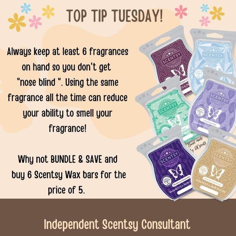 Scentsy Tip Tuesday Posts, Scentsy Tips And Tricks 2024, Scentsy Tuesday Tips, Tuesday Scentsy Post, Scentsy Tuesday Posts, Scentsy Warmers 2024, Scentsy Tips And Tricks, Scentsy Tip Tuesday, Online Scentsy Party