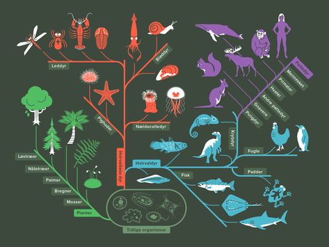 Phylogenetic Tree, Tree Aesthetic, Movie Posters, Art, Film Posters